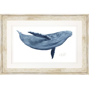 KS- BLUE WHALE 2